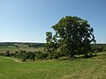 Krajina Řevničovské pahorkatiny na horním toku Loděnice u Mšeckých Žehrovic