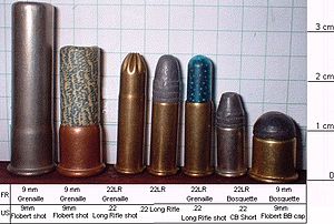 9mm Flobert shot, 9mm Flobert shot, .22 Long Rifle shot, .22 Long Rifle, .22 Long Rifle shot, .22 CB Short, e 9mm Flobert BB cap