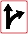 (R4-3) This Lane May Proceed Straight or Turn Right