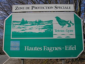 Het korhoen als symbool van het Natuurpark Hoge Venen-Eifel, België