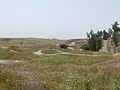 Руїни Суз (околиці Шуштару)