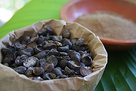 Semilas de Manchinga (Brosimum alicastrum) y harina de la misma semilla en Takiwasi, Tarapoto, Perú, 2016.jpg