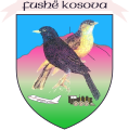 Kosovo Polje