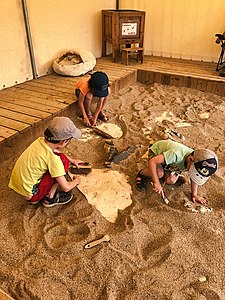 Atelier de fouilles pour enfants à Paléopolis