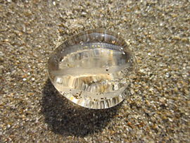 Knopgalle (Pleurobrachia pileus), angespoeld ip 't strange an de Vlamsche kust