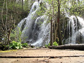 Cascate nel parco Cheile Nerei - Beușnița