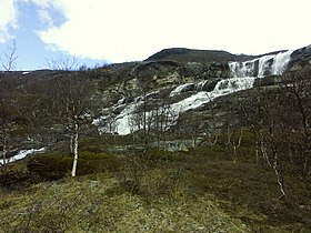 Helligskogen