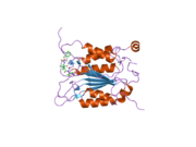 2hbr: Crystal structure of human caspase-1 (Arg286->Ala) in complex with 3-[2-(2-benzyloxycarbonylamino-3-methyl-butyrylamino)-propionylamino]-4-oxo-pentanoic acid (z-VAD-FMK)