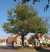 Oak of peace (Friedenseiche) and war memorial (Kriegerdenkmal, literally 'warrior memorial')