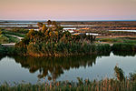 Delta de l'Ebre