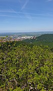 Ein schöner, sonniger Anblick zur Wernigerode vom Kaiserturm im Armleuteberg (1).jpg