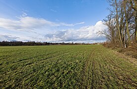 Floodplain in Vach LSG Rednitz-, Pegnitz- und Regnitztalsystem 2023-02-19 31.jpg