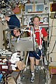 Frank De Winne, Expedition 20, exercises on the Treadmill System