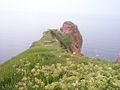 Steilküste mit Vorsprung auf Helgoland