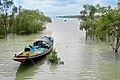 * Nomination: A boat in Kaikhali, near Sundarbans, India. --JDP90 18:42, 5 June 2012 (UTC) * * Review needed