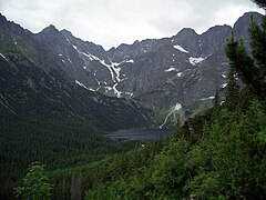 Տեսքն արահետից