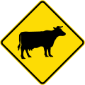 (W18-3.1) Watch for animals (cattle)