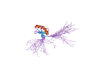 2crl: The apo form of HMA domain of copper chaperone for superoxide dismutase