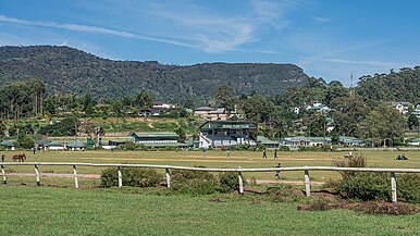 Hipódromo