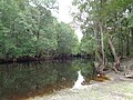 Satilla River near GA64 bridge