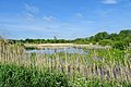 Gebied bij het Friesche Veen