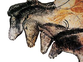 Les chevaux de la Grotte Chauvet, Ardèche