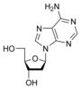 Estructura química de la desoxiadenosina