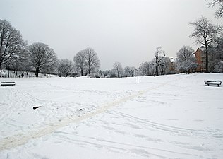 Fredhällsparken i vinterskrud.