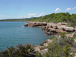 Cap de Santes Creus (l'Ametlla de Mar)