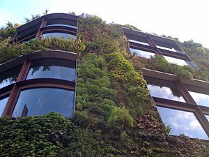 Façade du musée du quai Branly-Jacques Chirac avec mur végétalisé.