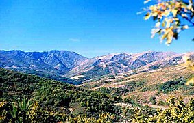 Sierra de Ayllón, la más oriental