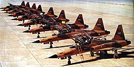 Iranian Northrop F-5 during Iran-Iraq war.