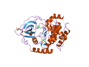 2uw8: STRUCTURE OF PKA-PKB CHIMERA COMPLEXED WITH 2-(4-CHLORO-PHENYL)-2-PHENYL-ETHYLAMINE