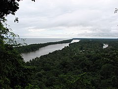 Bosque húmedo tropical Tortuguero