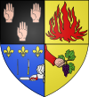 Brasão de armas de Saint-Laurent-d'Agny