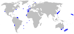 Distribución del tiburón anguila