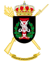 Coat of Arms of the 2nd-1 Health Services Group (UAPOSAN-II/1) AGRUSAN-1