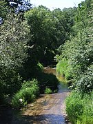 Ežeruona river – Tauragė.jpg