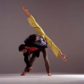 Modern dance – a female dancer performs