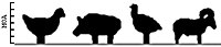 Frango, porco, peru e carneiro. Os diferentes alvos são posicionados a diferentes distâncias e, nesta imagem, os alvos são redimensionados para a aparência do atirador em tamanhos angulares (mil ou moa).