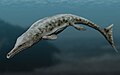 Neptunidraco, um crocodiliano totalmente adaptado a vida nos mares