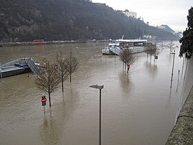 Flood, January 2010