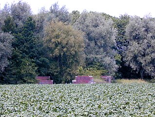 Brughoofden over het Kanaal Mensingeweer-Baflo ten oosten van Eenrum anno 2001.