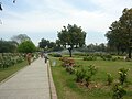 Zakir Hussain Rose Garden, India