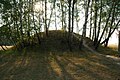 Tumulus de la culture de Przeworsk près de Przeworsk (Pologne)