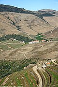 Vale do Douro - Portugal (33038694860).jpg