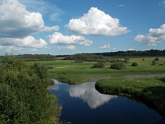 Луки в Батецькому районі