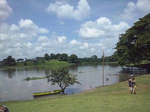 Clima monzónico Am en el humedal Abras de Mantequilla en Los Ríos.