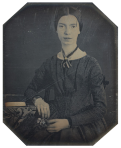 Although practically unknown during her lifetime, Emily Dickinson (1830-1886) is now seen as one of the most brilliant and original poets America has ever produced.