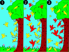 1: una espècie d'ocell més petita (groga) s'alimenta per tot l'arbre.2: una espècie més gran (vermell) competeix pels recursos.3: vermell domina al mig per als recursos més abundants. El groc s'adapta a nous nínxols, evitant la competència.